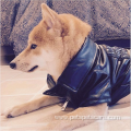 small pet french bulldog fur coat luxury fashions
